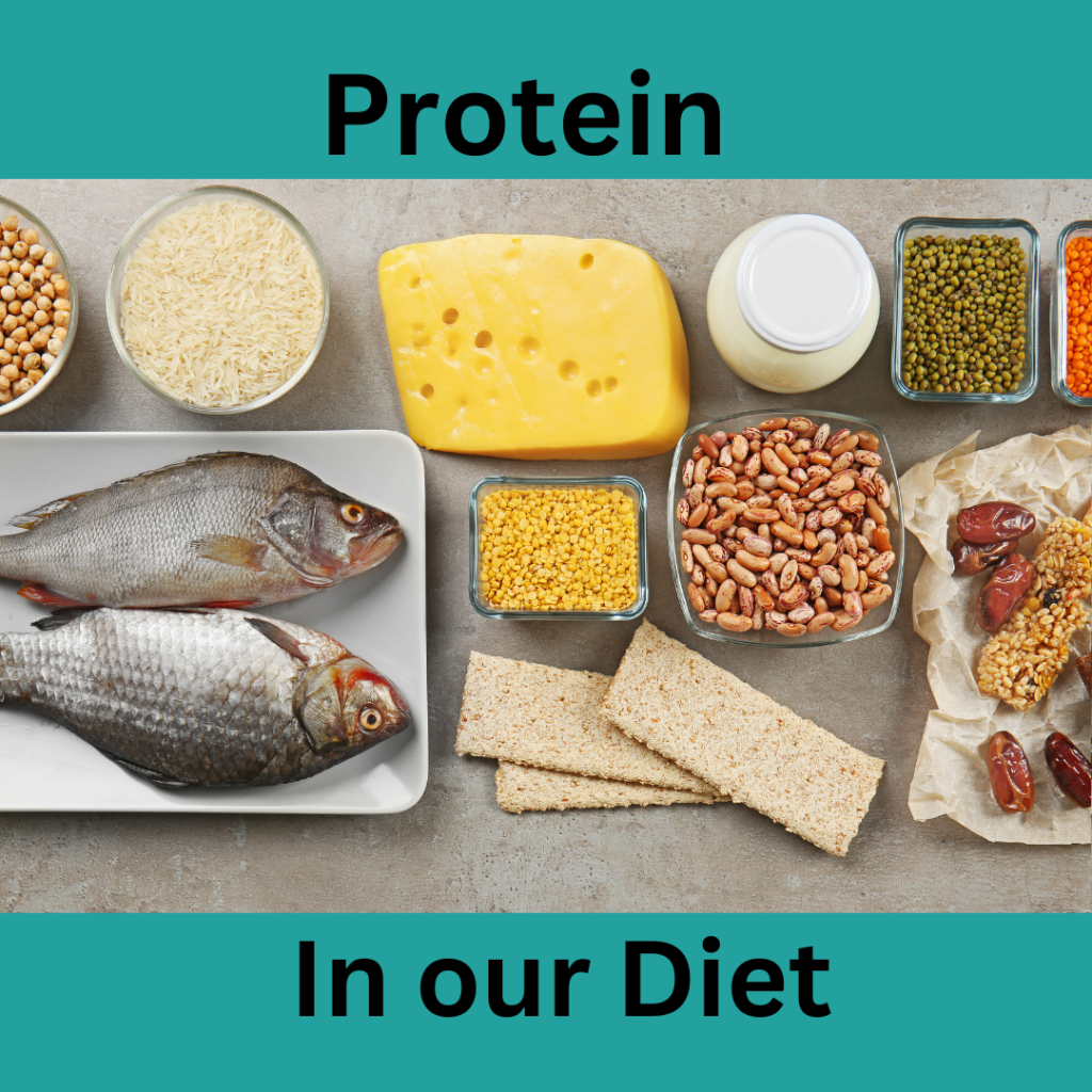 Sources of protein in our diet